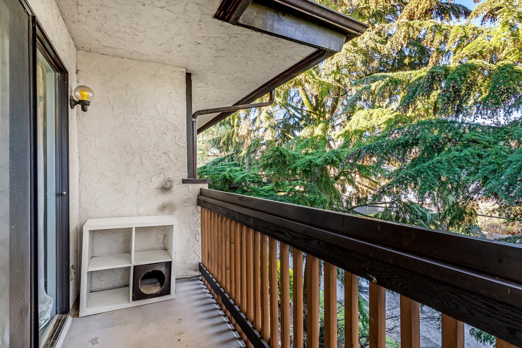 310 330 Cedar Street, Sapperton - r2961138 Image